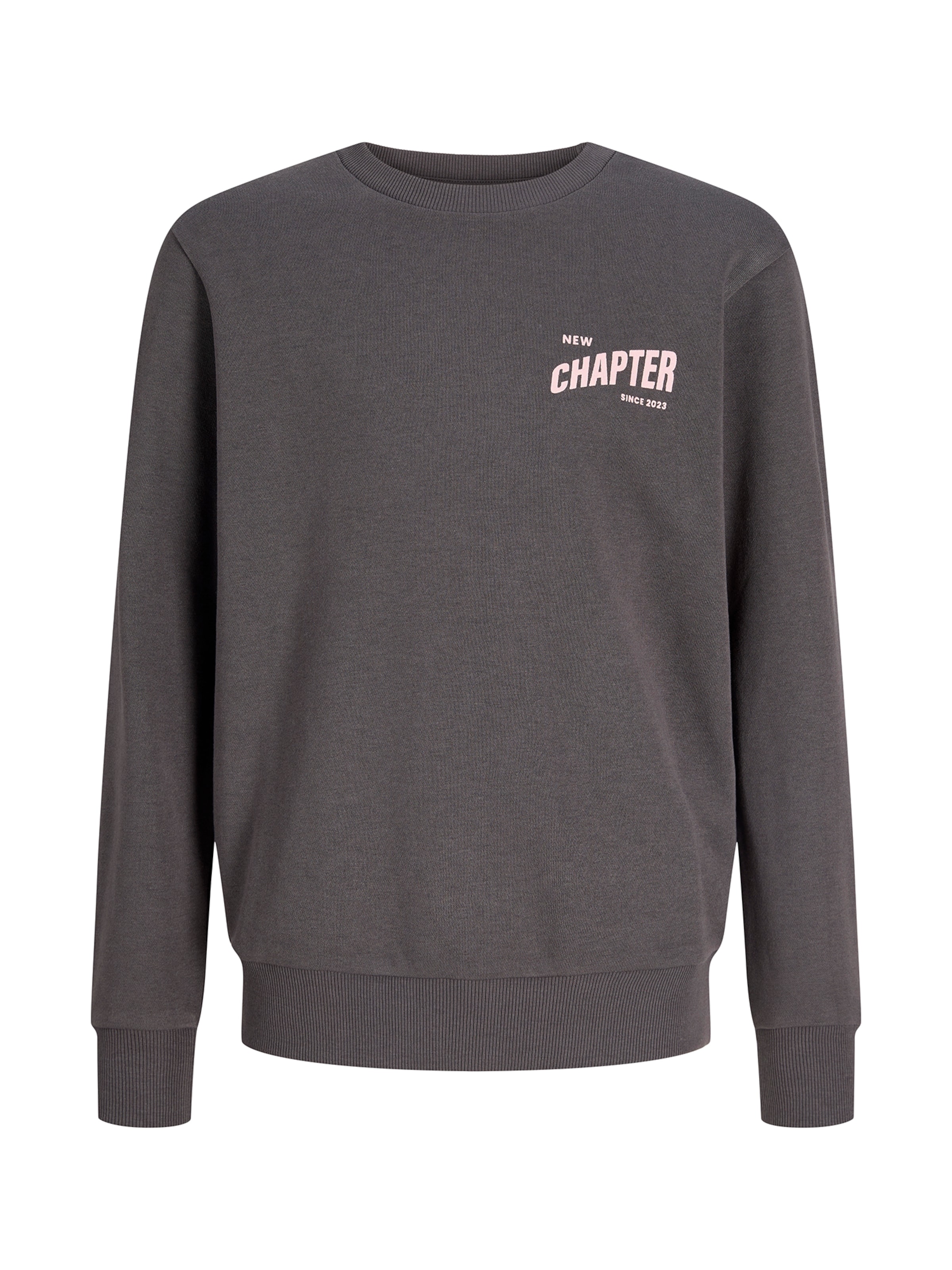 JJ Rebel Sweatshirt 'JREBELIJAH' in Grey: front