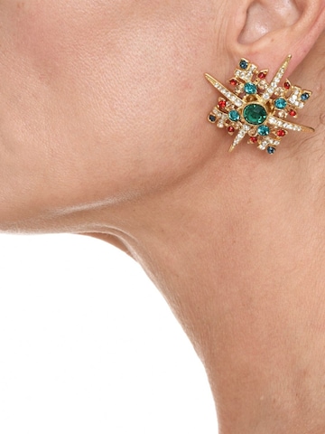 Addicted2 Earrings in Gold