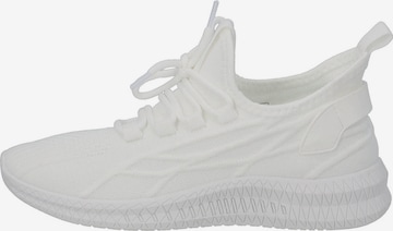 Baskets basses 'Mastie' Palado en blanc