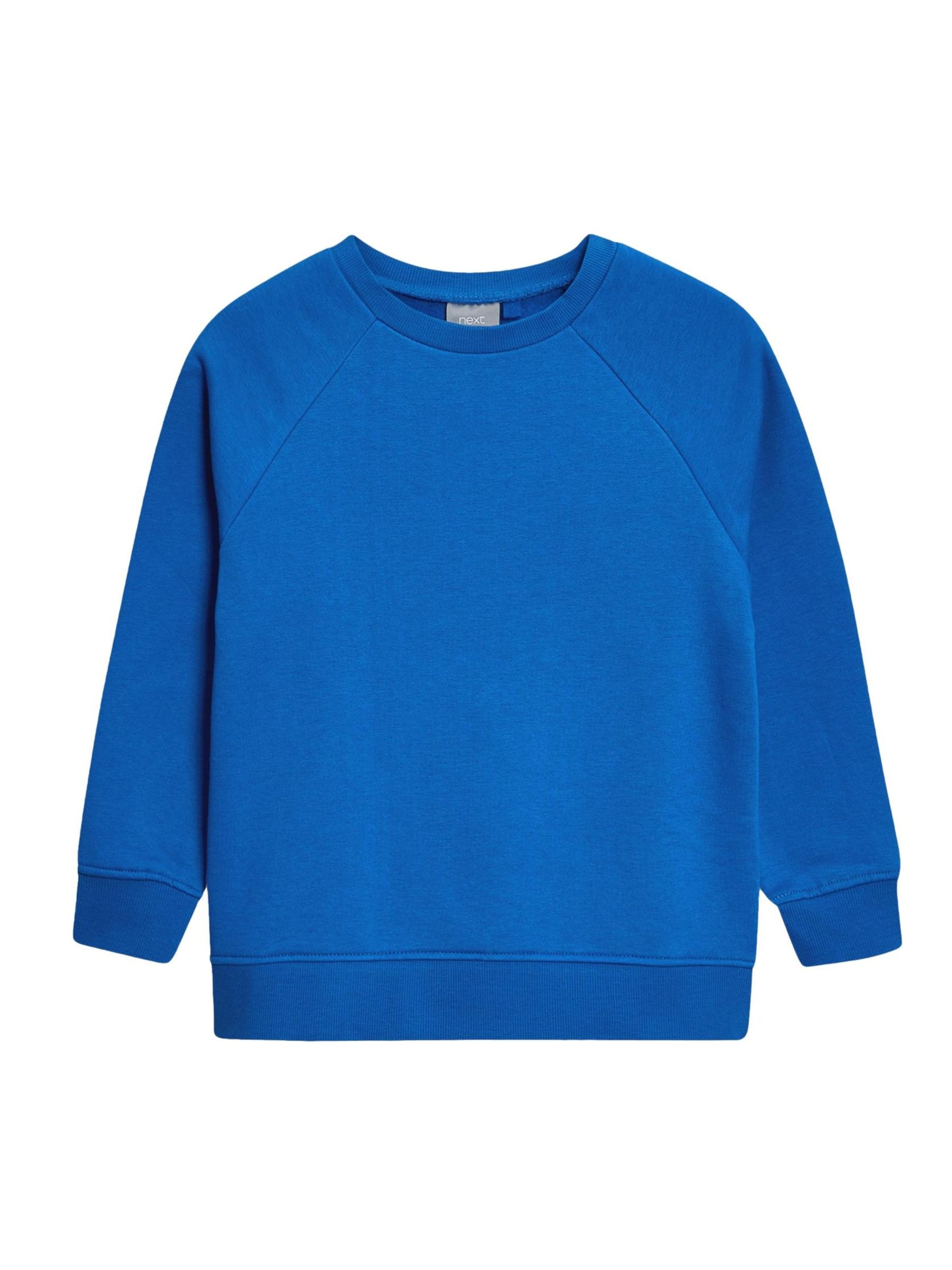 Next Sweatshirt in Blue: front