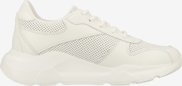 Sneaker bassa di Steven New York in bianco