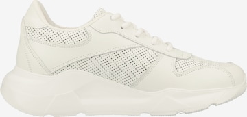 Steven New York Sneaker in Weiß