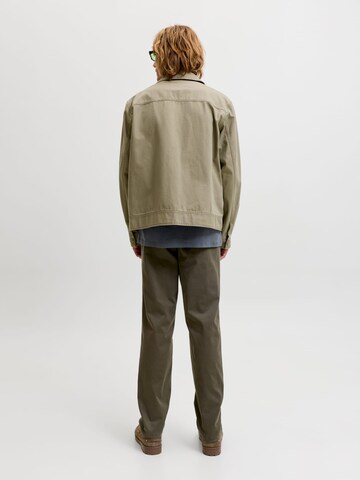 JACK & JONESregular Chino hlače 'JPSTOllie' - zelena boja