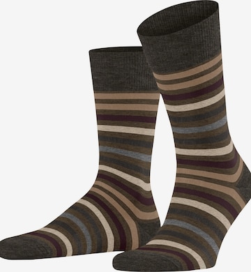 FALKE Socks 'Tinted Stripe' in Green: front