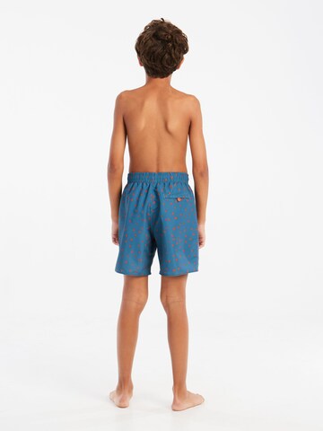 PROTEST Badeshorts 'PRTTyson JR' in Blau