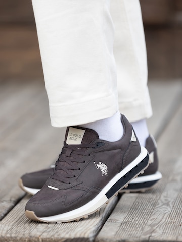 Baskets basses 'April' US POLO ASSN. en marron