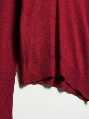 Dilvin - Pullover 'Pullover' em vermelho