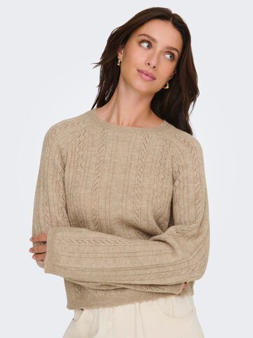 Pull-over 'JDYApril' JDY en marron : devant