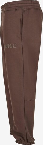 Dropsize Loose fit Pants in Brown