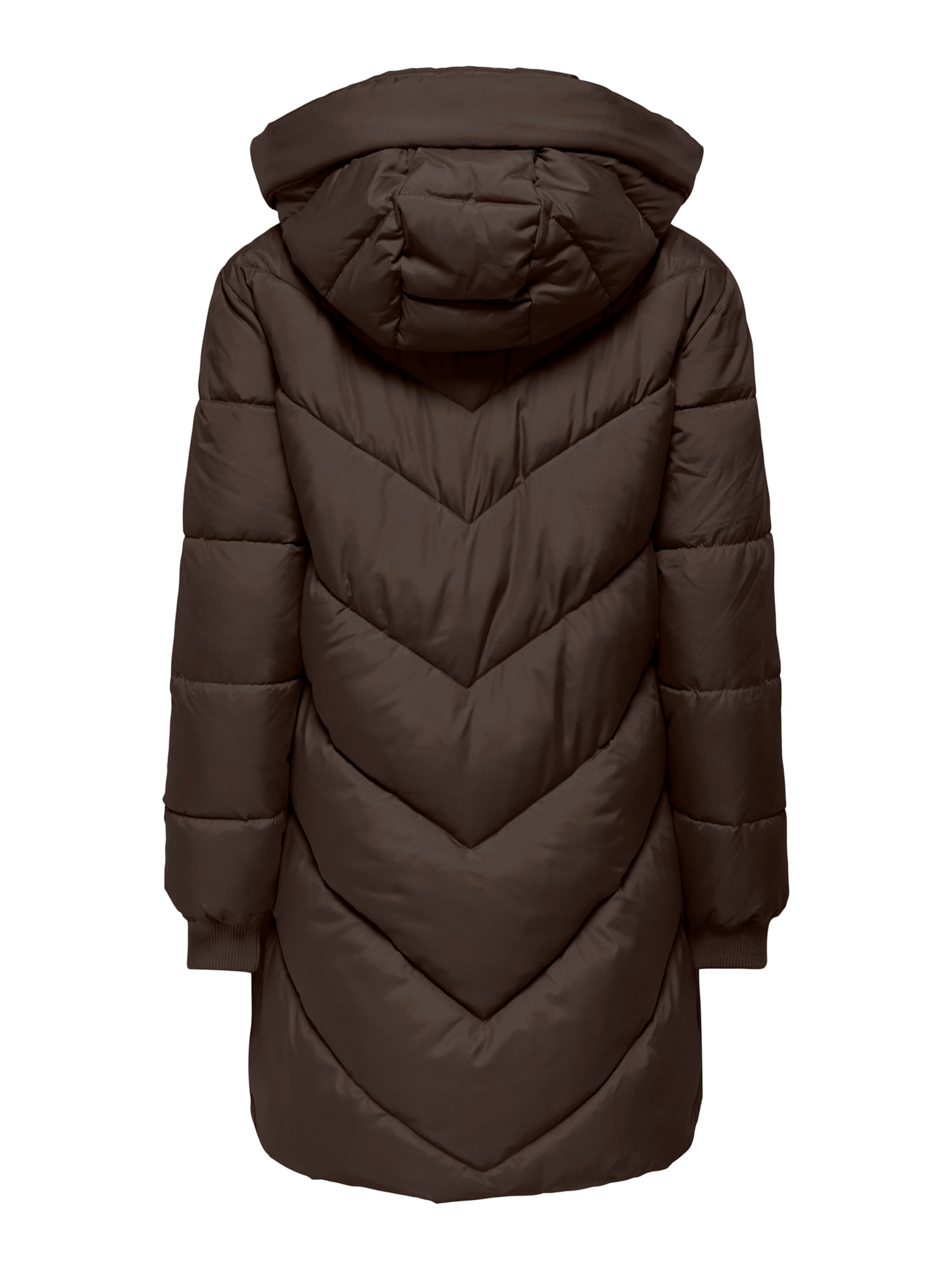 Manteau d’hiver 'JDYSKYLAR' JDY en marron