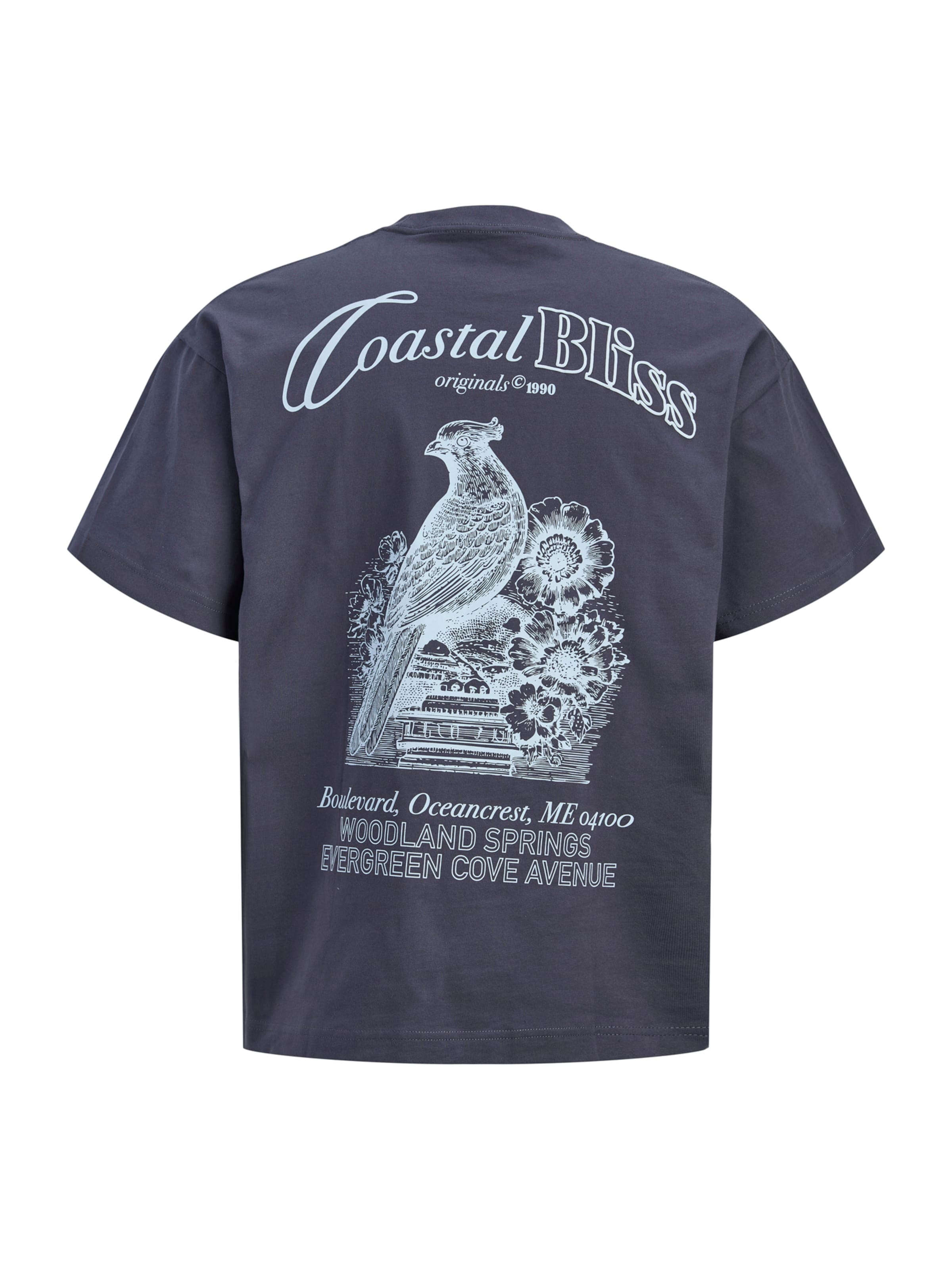 Jack & Jones Plus Shirt 'JORMAINE' in Grijs