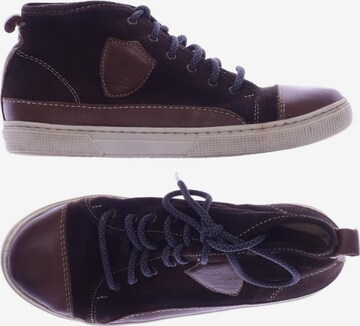 Massimo Dutti Sneaker 35 in Braun: Vorderseite
