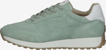 Sneaker bassa di MEXX in verde