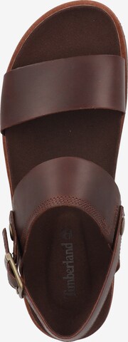 TIMBERLAND Sandals in Brown