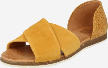 Apple of Eden Sandals in Yellow: front