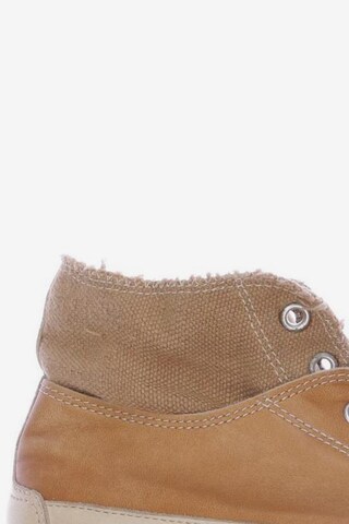 Candice Cooper Sneakers & Trainers in 41 in Brown