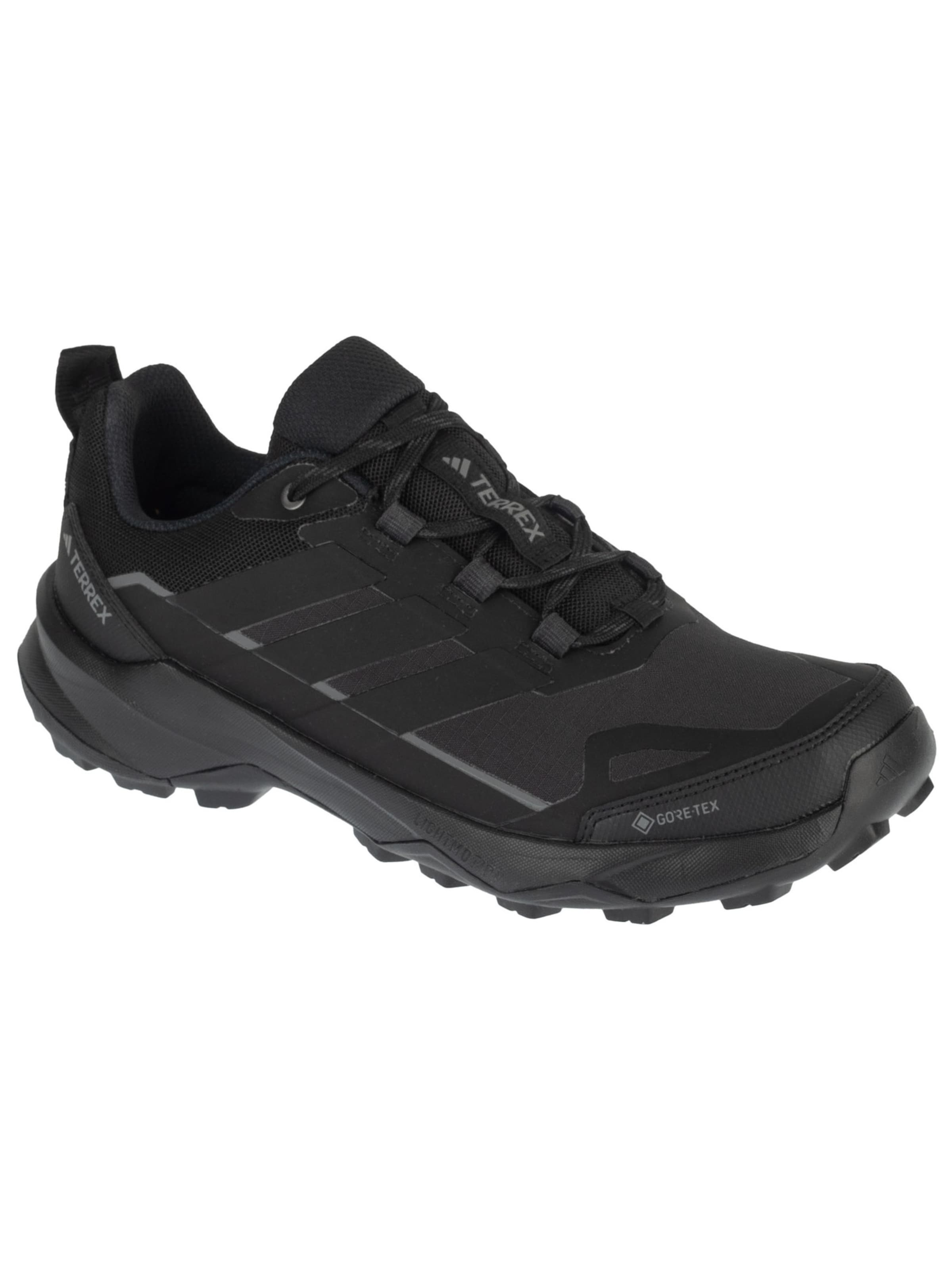 ADIDAS PERFORMANCE Flats 'Terrex Skychaser AX5 GTX' in Black, Item view