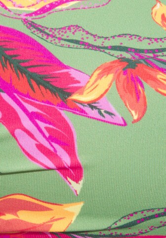 Fascia Top per bikini di LASCANA in verde