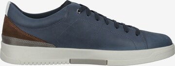 GEOX Sneaker 'Segnale' in Blau