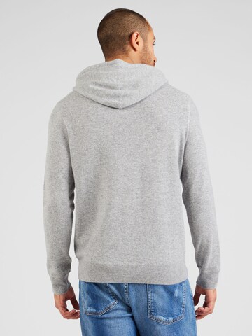 Polo Ralph Lauren Sportpullover in Grau