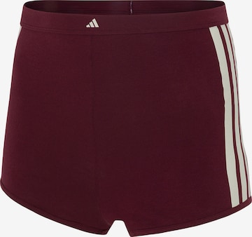 Culotte ' Sport Active Essentials Cotton 3 Stripes ' ADIDAS SPORTSWEAR en rouge : devant