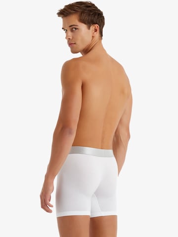 Blackspade Boxershorts in Wit