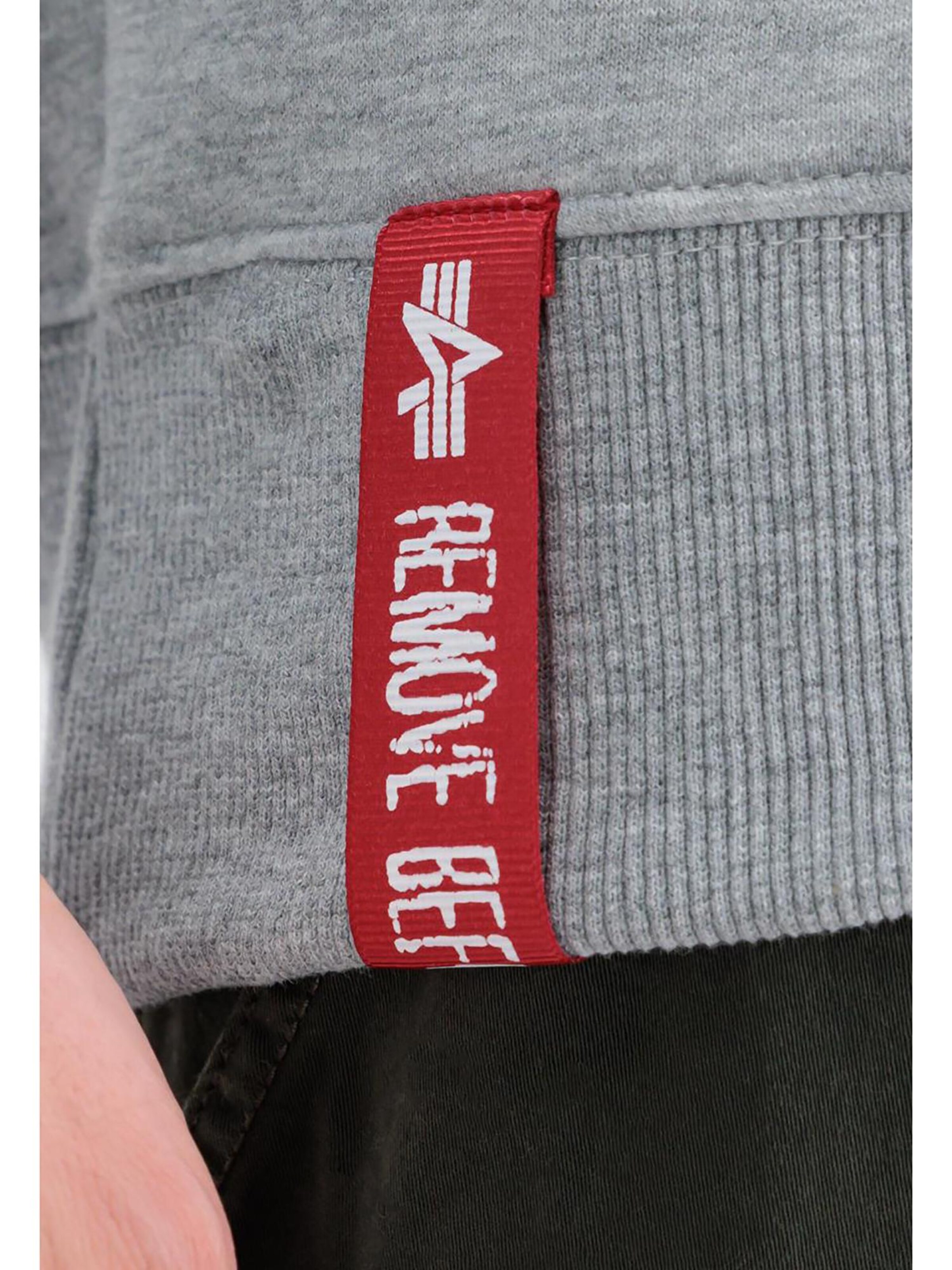 ALPHA INDUSTRIES Sweatshirt in Grey