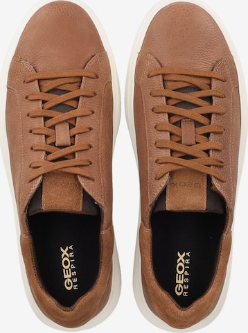 Sneaker bassa di GEOX in marrone