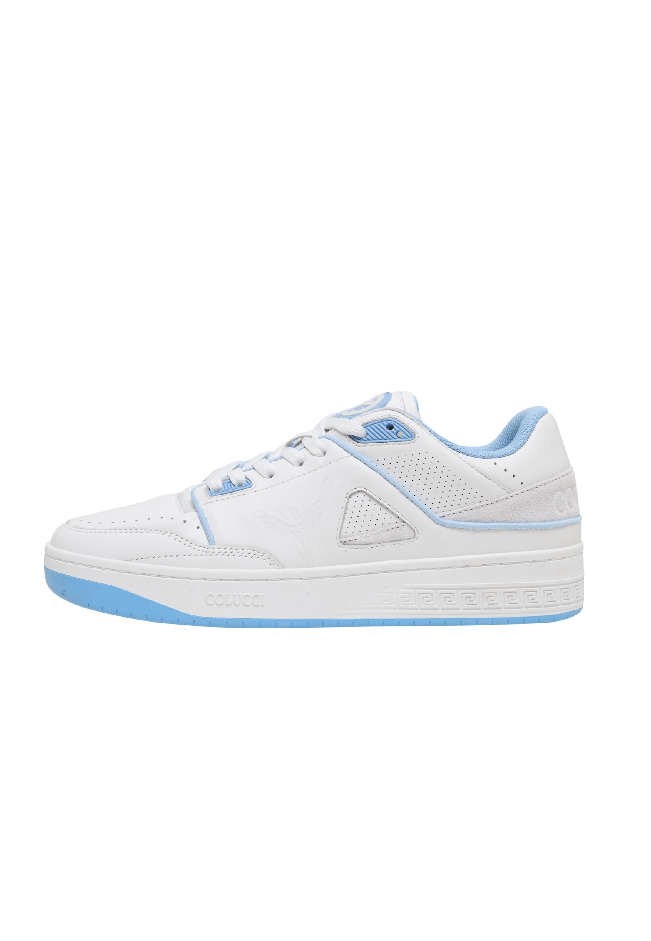 Colucci - Sapatilhas baixas 'Furio' em branco: frente