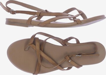 COX Sandals & High-Heeled Sandals in 42 in Brown: front