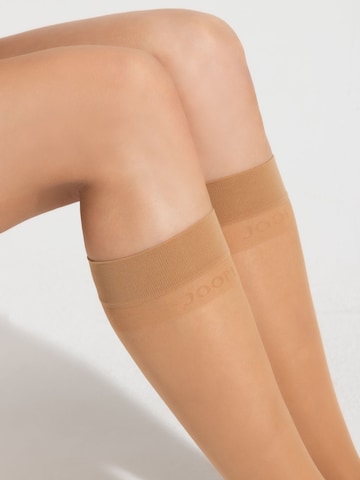 JOOP! Kniestrümpfe in Beige