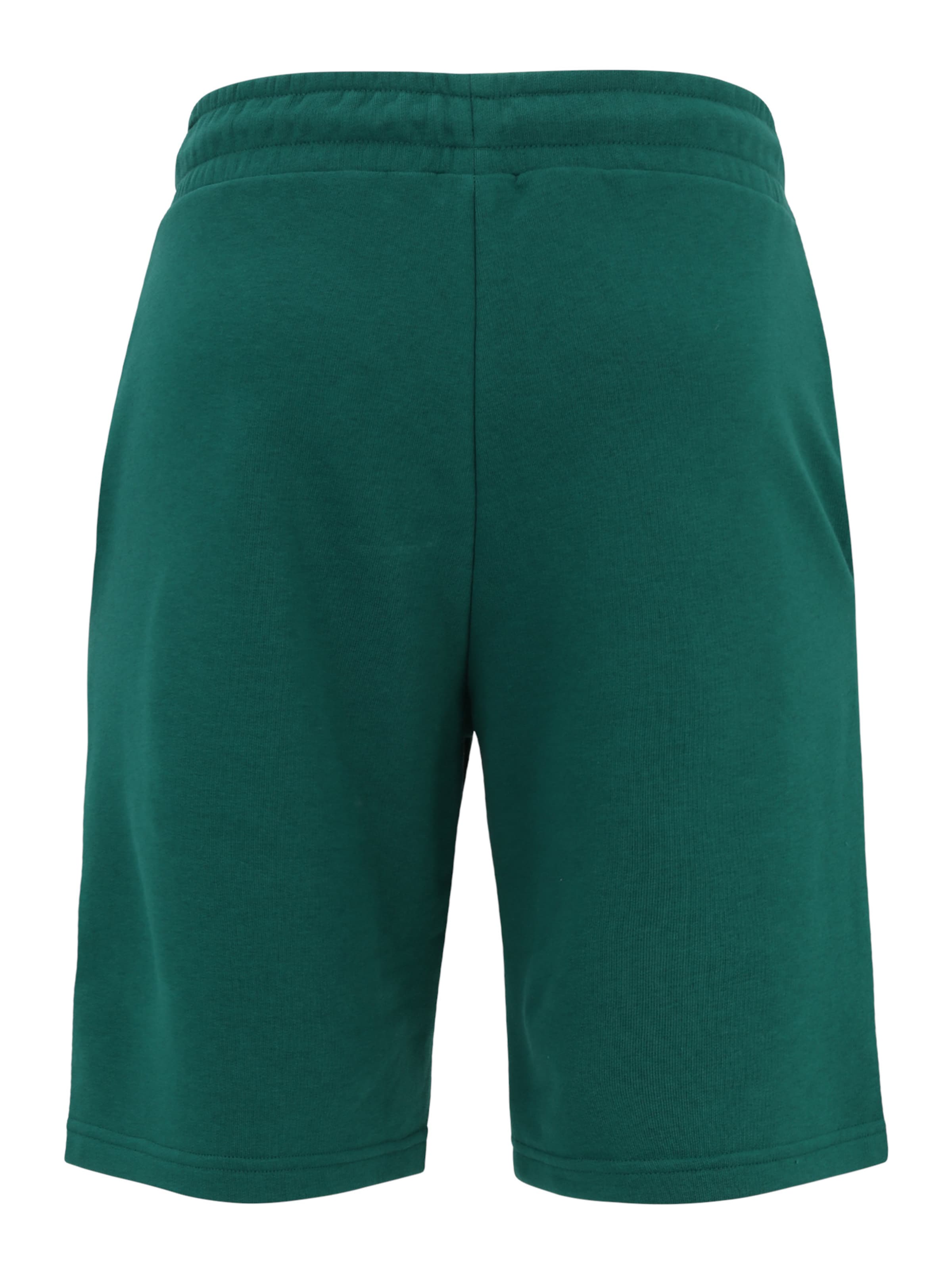 FILA Ohlapna forma Hlače 'BLEHEN' | zelena barva