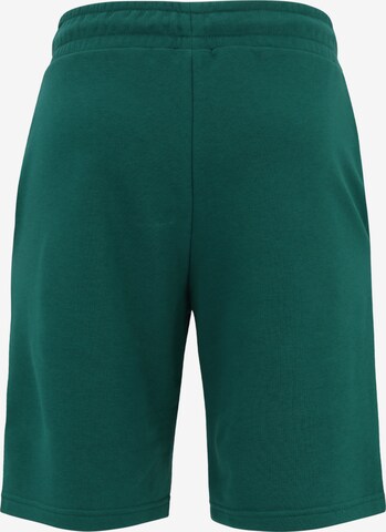 FILA Lużny krój Spodnie 'BLEHEN' w kolorze zielony