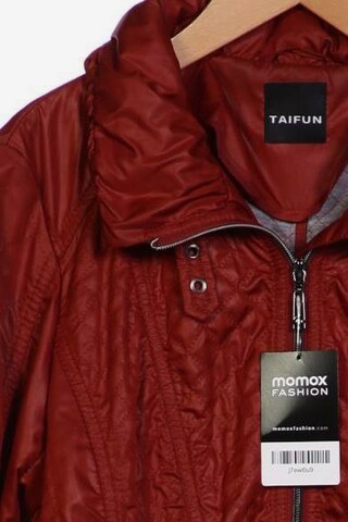 TAIFUN Jacke S in Braun