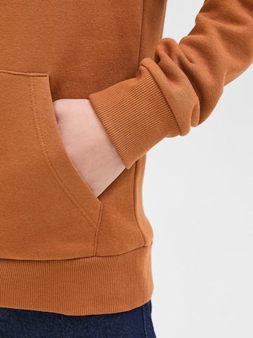 Jack & Jones Junior Sweatshirt 'JJARI' in Bruin