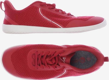 GIESSWEIN Sneaker 42 in Rot: predná strana