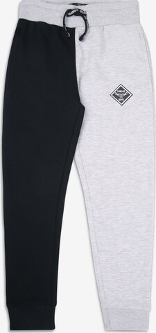Threadboys Pants 'Portugal' in Grey: front