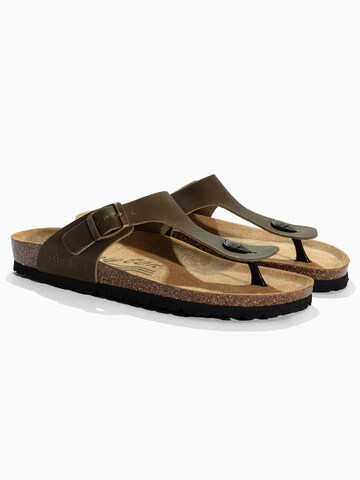 Bayton Žabky 'MERCURE' - Zelená