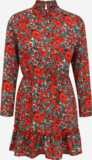 Missguided (Petite) Robe en vert / rouge / noir / blanc, Vue avec produit