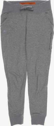 ALPHA INDUSTRIES Pants in 33 in Grey: front