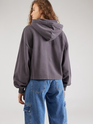 Calvin Klein Jeans Sweatshirt in Grau