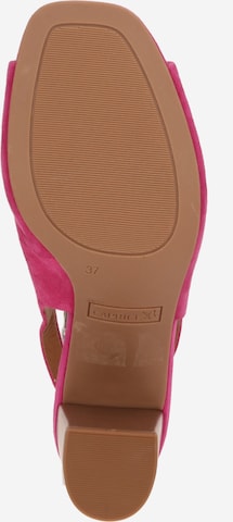 CAPRICE Sandal in Pink