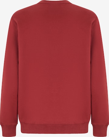 DICKIES - Sweatshirt 'AITKIN' em vermelho