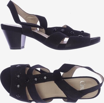 CAPRICE Sandals & High-Heeled Sandals in 40,5 in Black: front