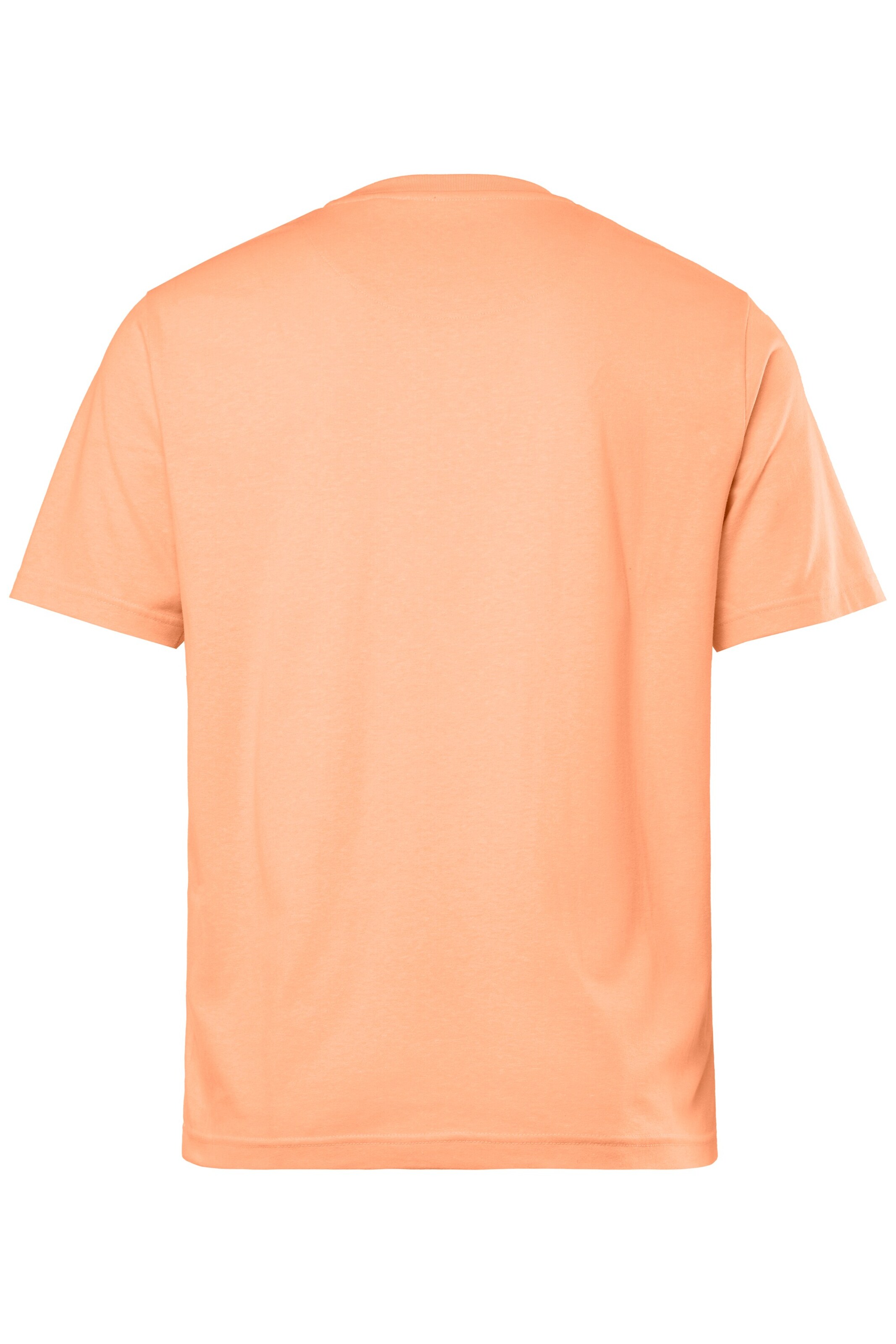 Men Plus Shirt in Orange