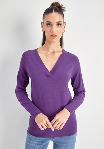 HECHTER PARIS Sweater in Purple: front