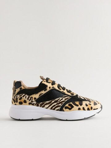 Sneaker bassa di Next in marrone