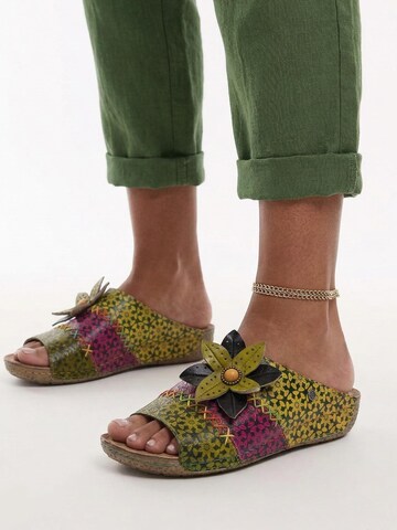 Maciejka Mules 'K7408-07/00-1' in Mixed colors