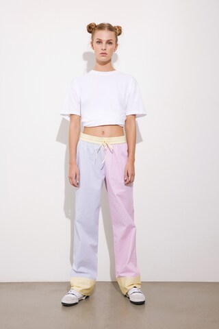 Envii Regular Pants 'Deborah' in Mixed colors