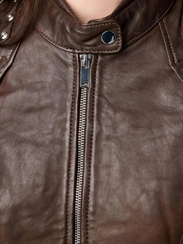 Tazzio Between-Season Jacket 'F521' in Brown